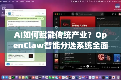 AI如何赋能传统产业？OpenClaw智能分选系统全面解析与功能介绍