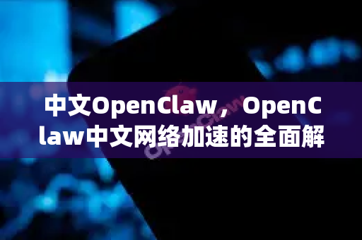 中文OpenClaw，OpenClaw中文网络加速的全面解析与指南-第1张图片-OpenClaw下载中文-AI中文智能体