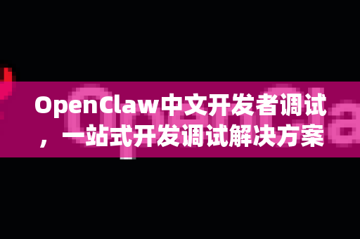 OpenClaw中文开发者调试，一站式开发调试解决方案详解-第1张图片-OpenClaw下载中文-AI中文智能体