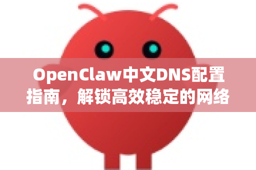 OpenClaw中文DNS配置指南，解锁高效稳定的网络访问体验（2024最新）
