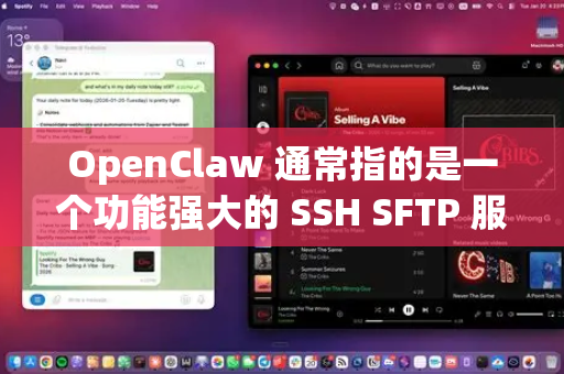 OpenClaw 通常指的是一个功能强大的 SSH SFTP 服务器管理客户端，主要用于电脑和手机平台，用于远程连接和管理服务器