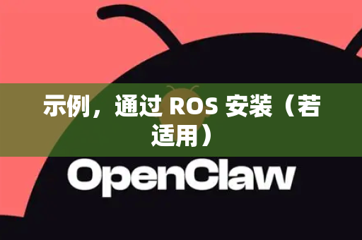 示例，通过 ROS 安装（若适用）