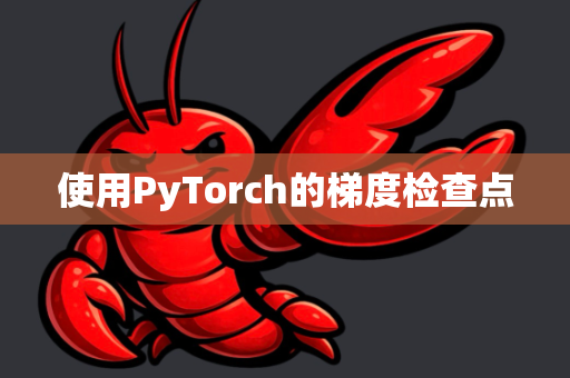 使用PyTorch的梯度检查点