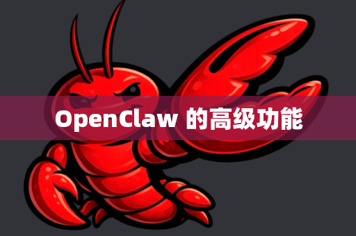OpenClaw 的高级功能