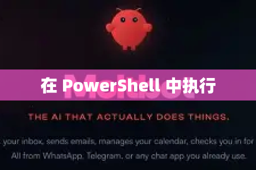 在 PowerShell 中执行