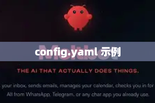 config.yaml 示例