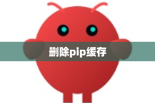 删除pip缓存