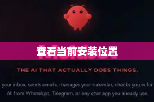 查看当前安装位置