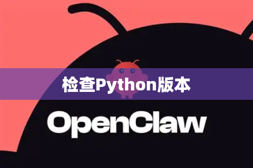 检查Python版本