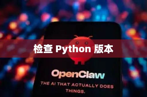 检查 Python 版本