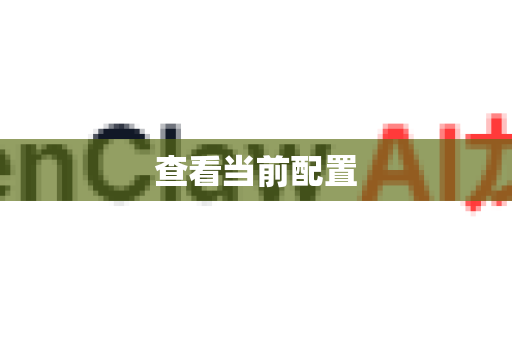 查看当前配置