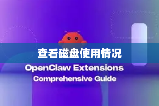 查看磁盘使用情况