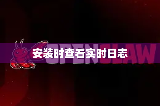 安装时查看实时日志