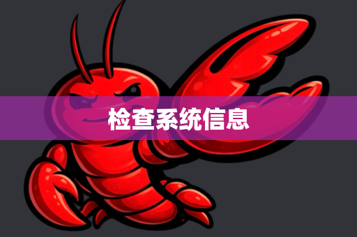 检查系统信息